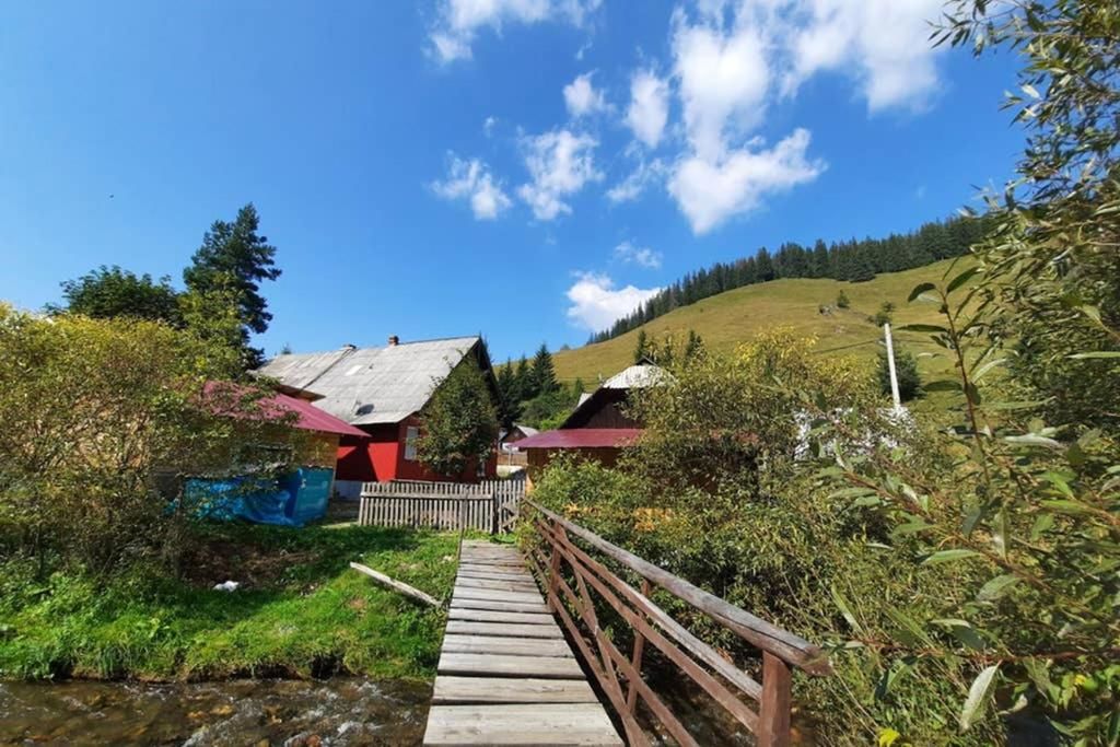Дома для отпуска Casuta de pe malul apei Valea Putnei